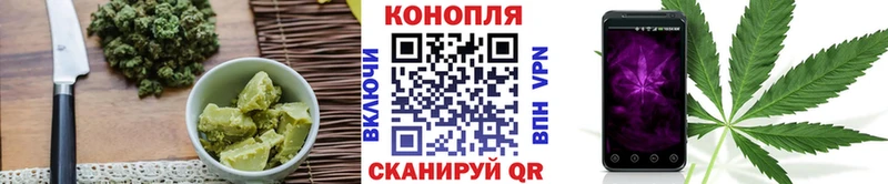 Cannafood марихуана Цоци-Юрт