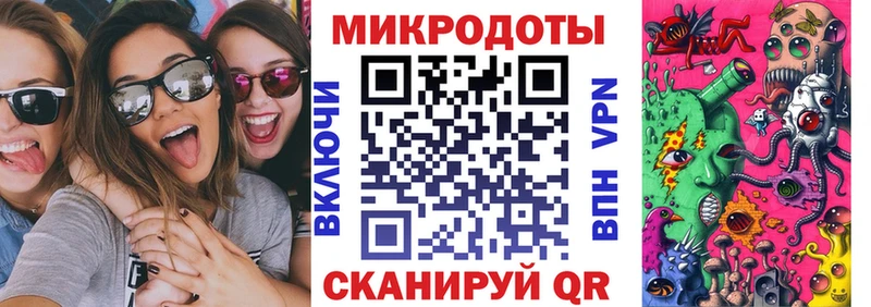 Псилоцибиновые грибы Psilocybine cubensis  Цоци-Юрт 