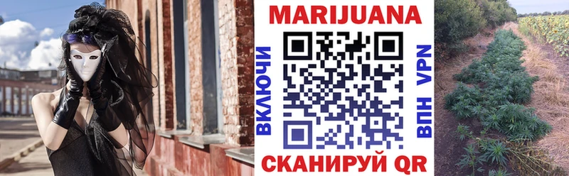 Шишки марихуана гибрид  Цоци-Юрт 